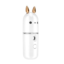 Load image into Gallery viewer, USB Rechargeable Rabbit Nano Mist Sprayer Facial Moisturizer_1
