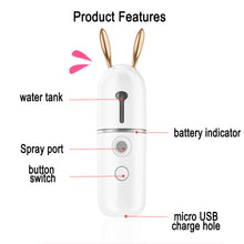 Load image into Gallery viewer, USB Rechargeable Rabbit Nano Mist Sprayer Facial Moisturizer_6
