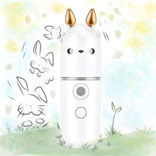 Load image into Gallery viewer, Bunny Q Portable USB Nano Facial Mist Sprayer
